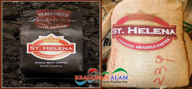 Keajaiban Alam Island Dari St Helena Coffee