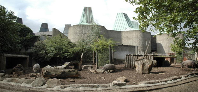 Kebun binatang ZSL London