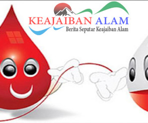 Manfaat Donor Darah Untuk Kesehatan Anda