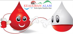 manfaat donor darah untuk kesehatan anda
