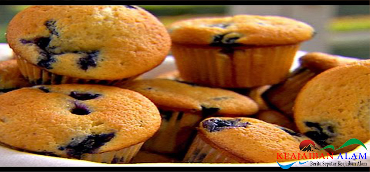 Resep Blueberry Muffin Cupcake