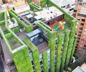 Lima Kebun Vertikal Terkeren di dunia