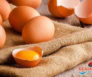 Risiko Diabetes Dapat Dikurangi Dengan Cara Pengolahan Telur Yang Benar