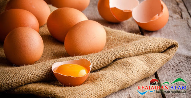Risiko Diabetes Dapat Dikurangi Dengan Cara Pengolahan Telur Yang Benar