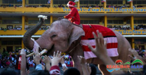 Unik! Bukan Rusa, Santa Claus Tunggangi Gajah Dan Bagi Kado Natal di Thailand