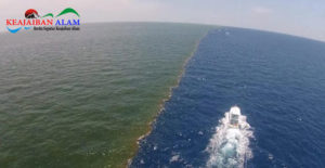 Aneh Tapi Nyata! Inilah Alasan Mengapa Dua Air Laut Yang Bertemu di Teluk Alaska Tidak Pernah Menyatu Hingga Sekarang Ini