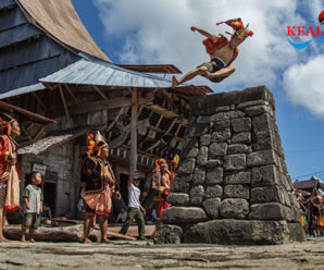 Asal Usul Lompat Batu Fahombo di Nias Yang Menjadi Tradisi Menarik Bagi Wisatawan