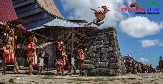 Asal Usul Lompat Batu Fahombo di Nias Yang Menjadi Tradisi Menarik Bagi Wisatawan