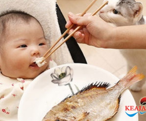 Di Usia Berapa Bayi Boleh Makan Ikan? Yuk Cari Tahu Infonya!