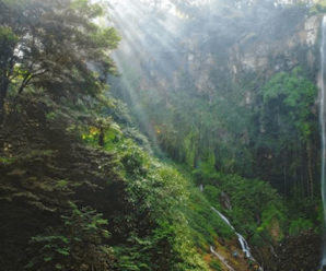 Air Terjun Segoro Gunung, 20 Meter Memiliki Kesegaran Yang Alami
