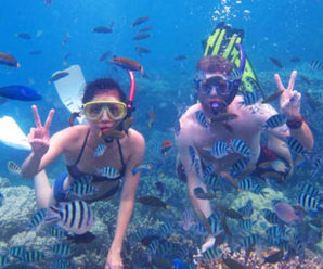 Spot Diving dan Snorkeling Favorit di Karimunjawa