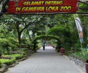 Potret Suasana Saat Berakhir Pekan Di Gembira Loka Zoo