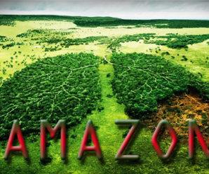 Fakta Hutan Amazon Sang Paru-Paru Dunia